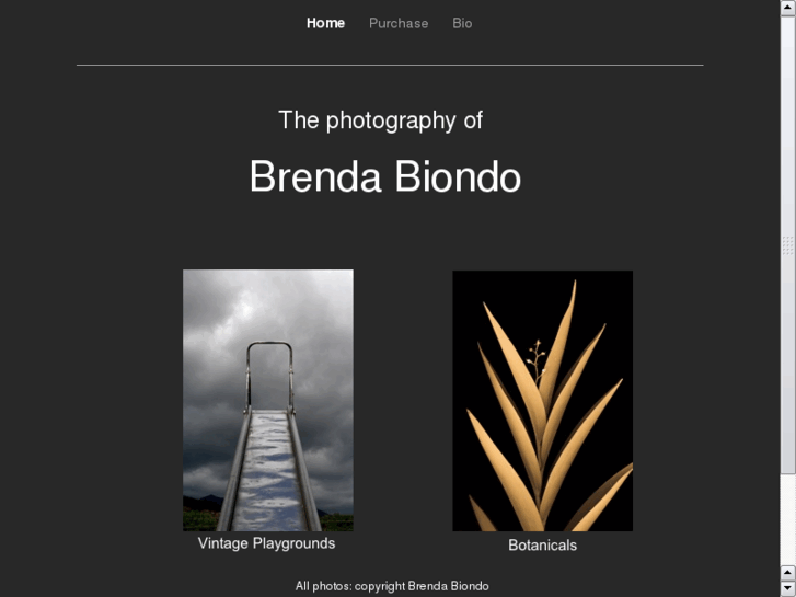 www.brendabiondo.com