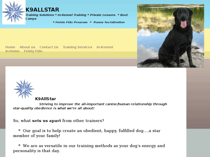 www.canineallstarsnc.com