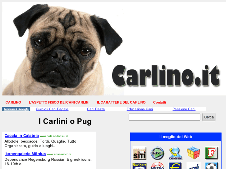 www.carlino.it