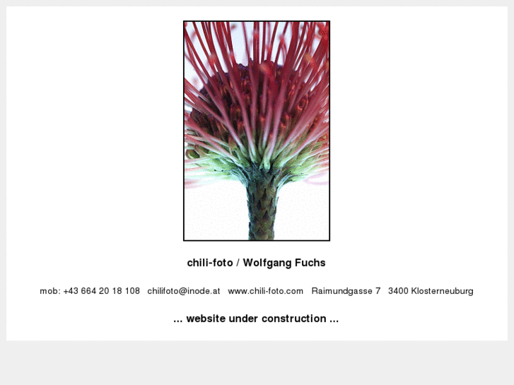 www.chili-foto.com