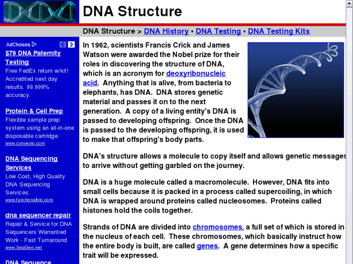 www.dna-structure.com