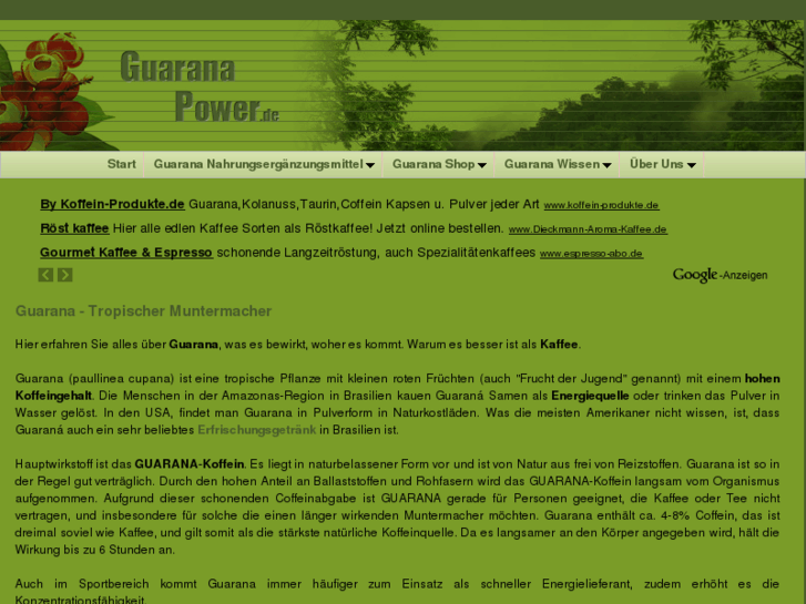 www.guaranapower.de