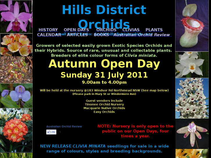 www.hillsdistrictorchids.com