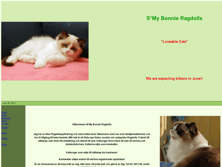 www.mybonnie-ragdolls.com