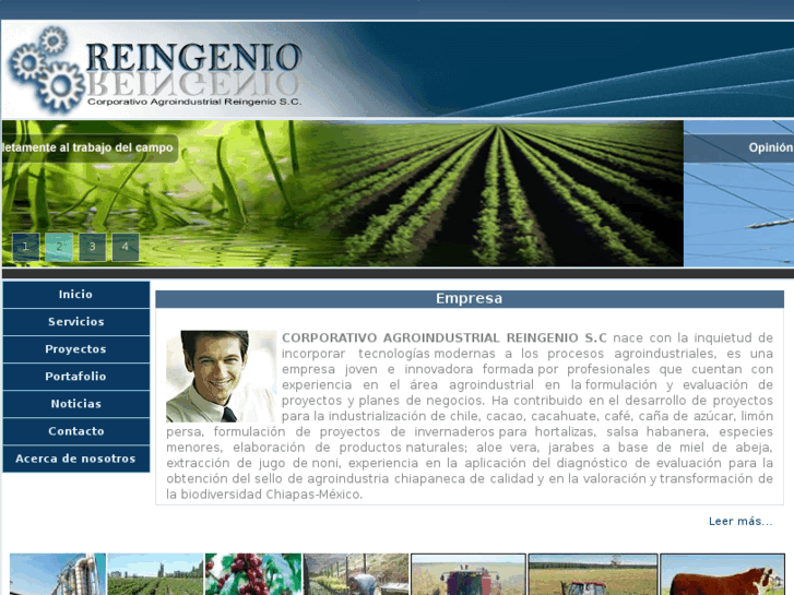 www.reingenios.com