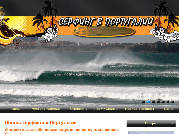 www.surfingportugal.ru