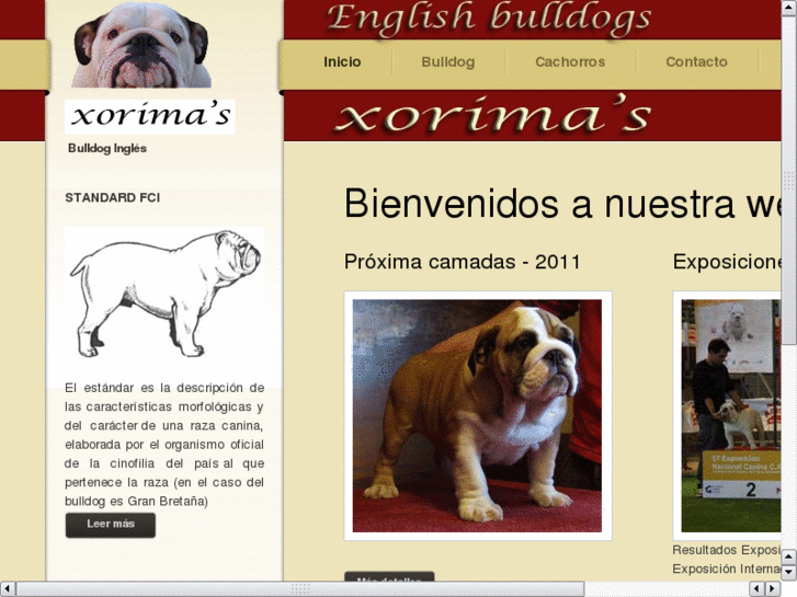 www.xorimas.com