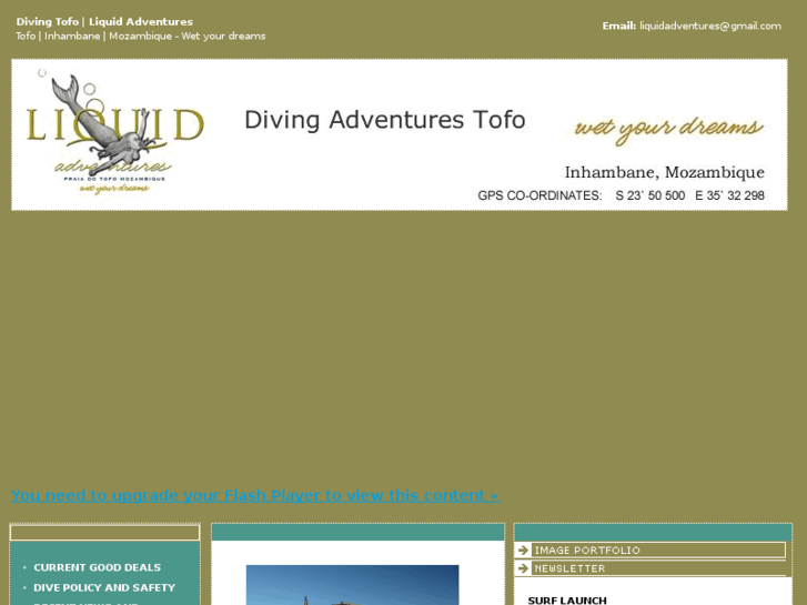 www.divingtofo.com