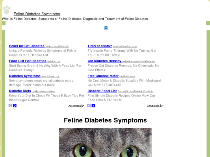 www.felinediabetessymptoms.com