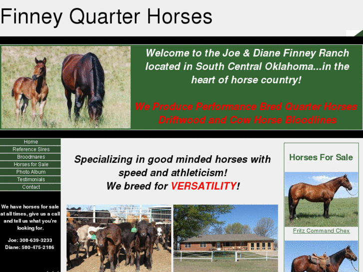 www.finneyquarterhorses.com