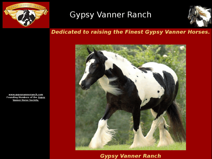 www.gypsyvannerfoals.com