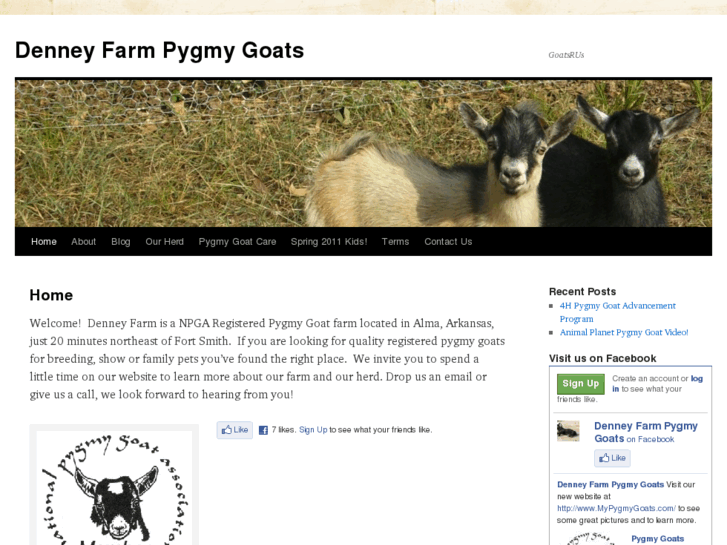 www.mypygmygoats.com