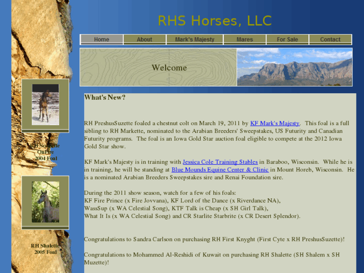 www.stallions-of-rhs.com