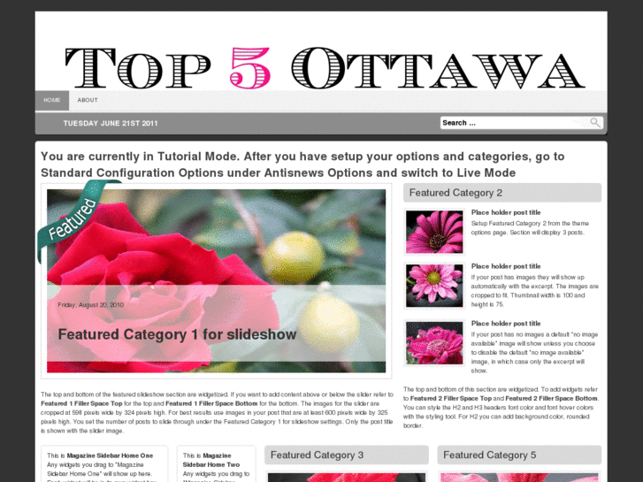 www.top5ottawa.com