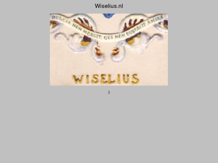 www.wiselius.nl