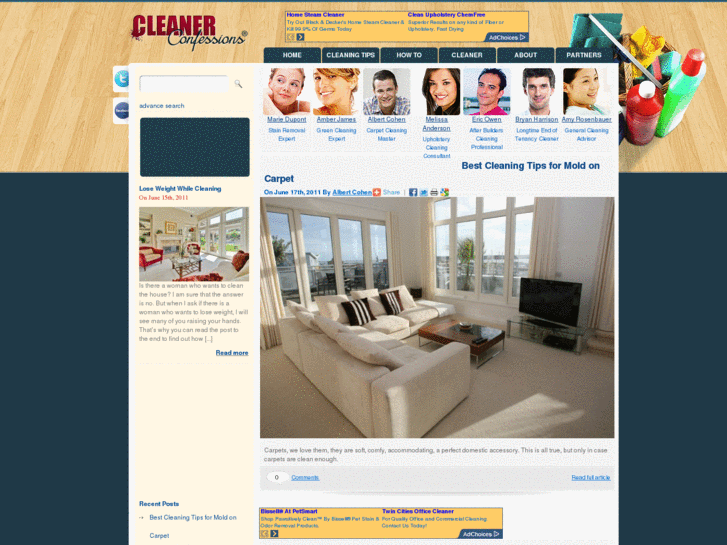 www.cleanerconfessions.com