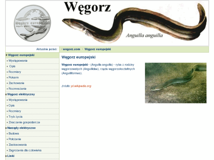 www.wegorz.com