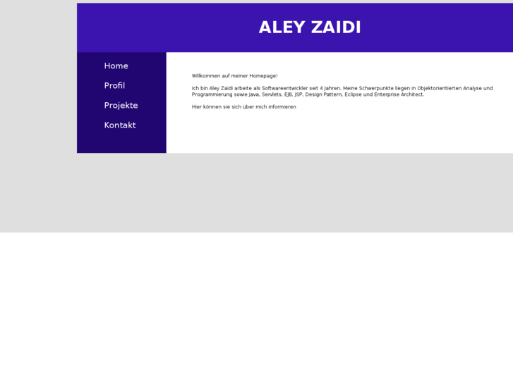 www.aley-zaidi.com