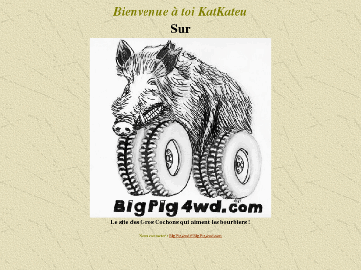 www.bigpig4wd.com