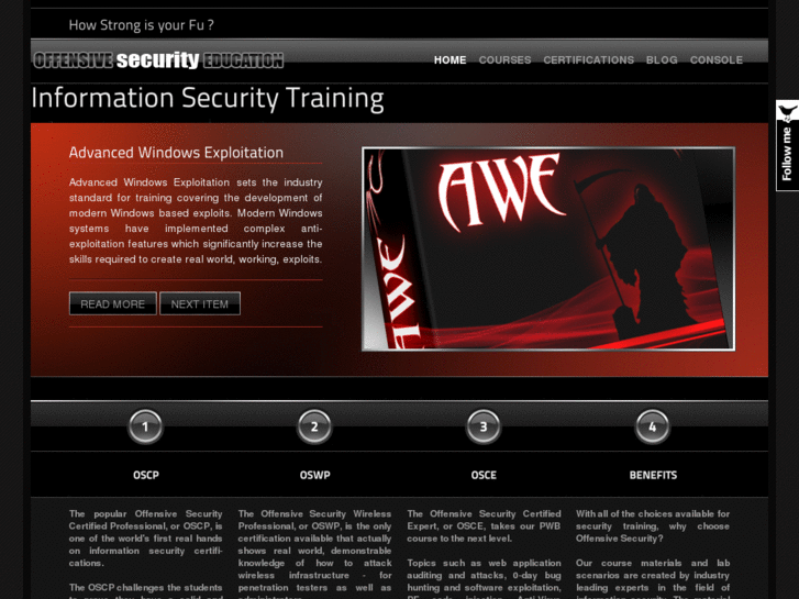 www.cross-site-scripting-xss.com