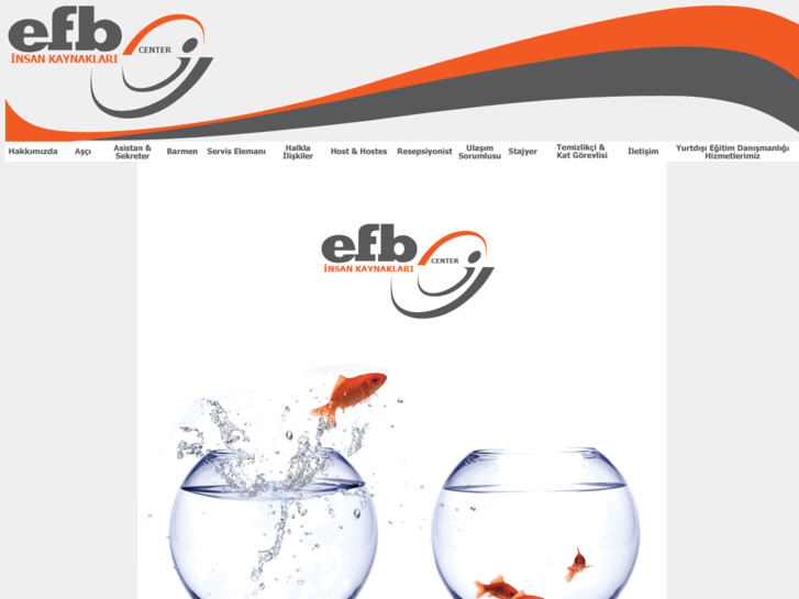 www.efbcompany.com