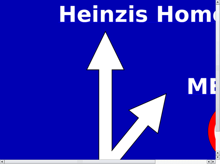 www.heinznitsch.com