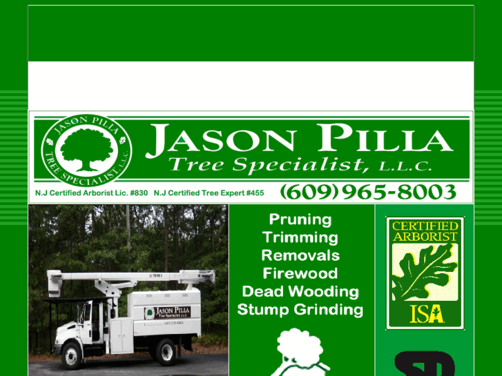 www.jasonpillatreeservice.com