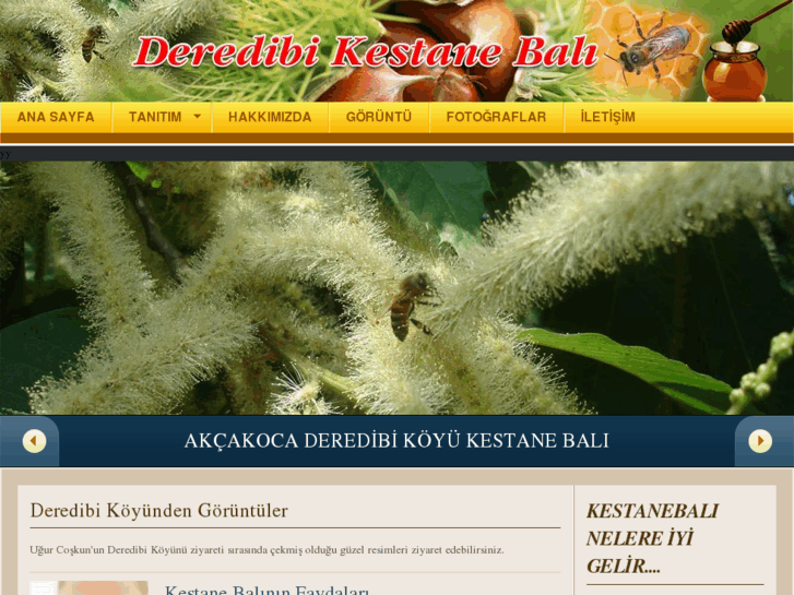 www.kestane-bali.com