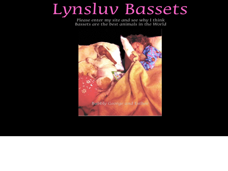 www.lynsluvbassets.com