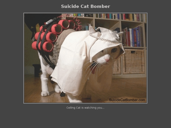 www.suicidecatbomber.com