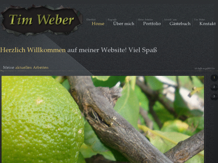 www.tim-weber.net
