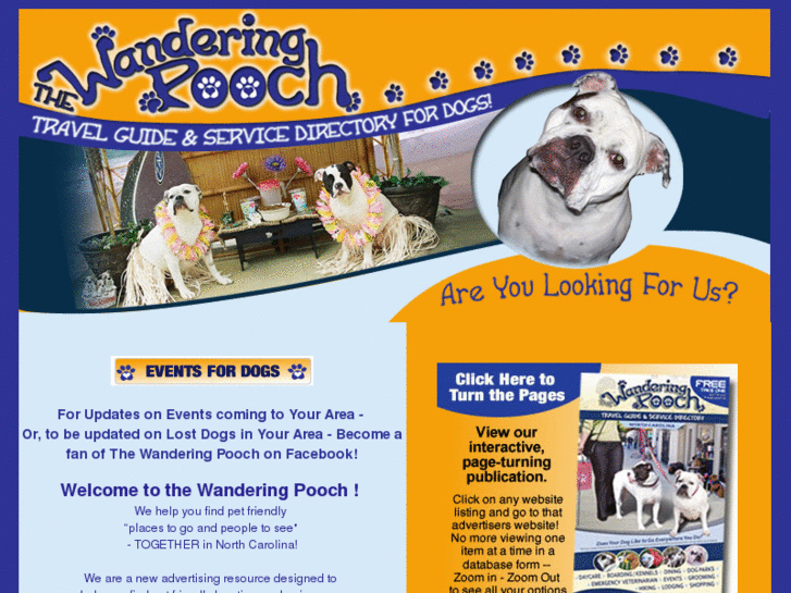 www.wanderingpooch.com