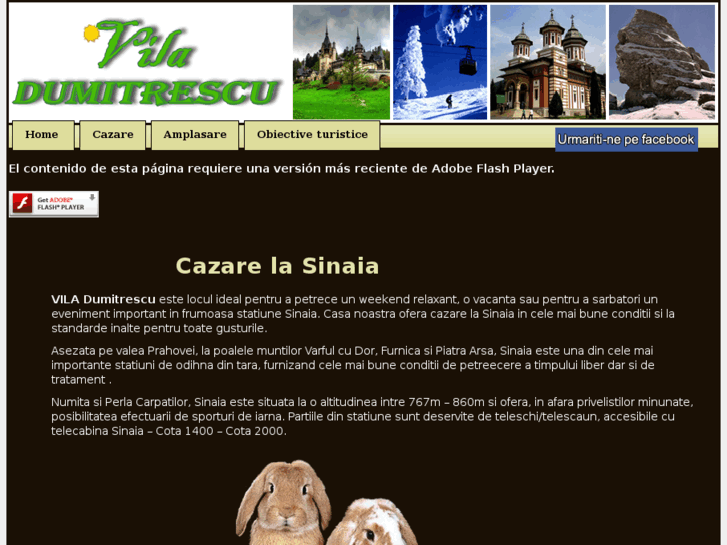 www.cazarelasinaia.com