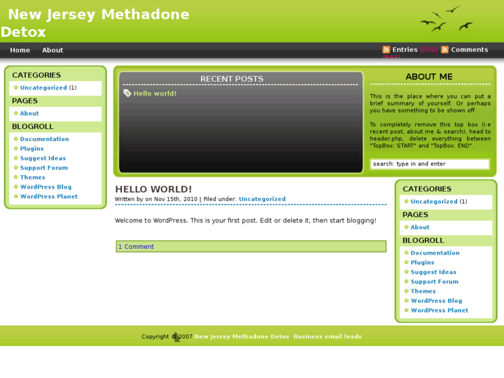 www.detoxfrommethadonenewjersey.com