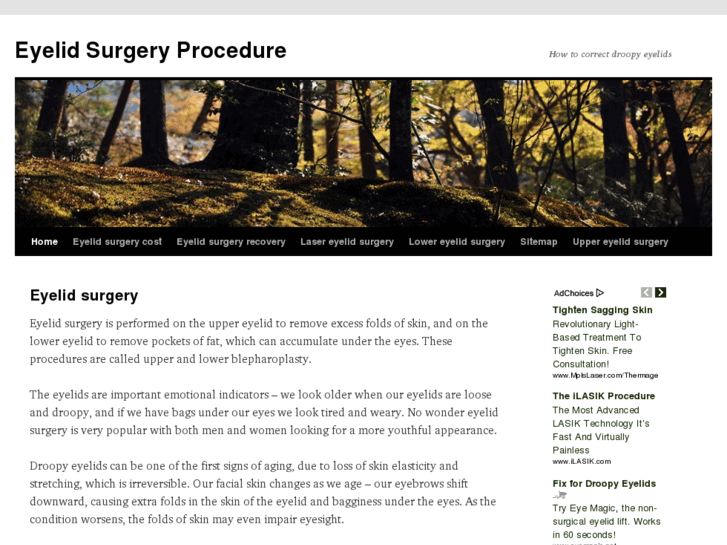 www.eyelidsurgeryprocedure.com