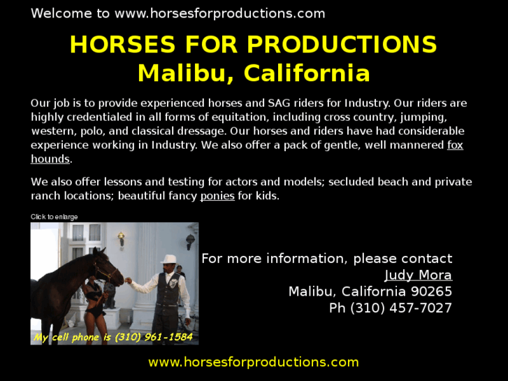 www.horsesforproductions.com