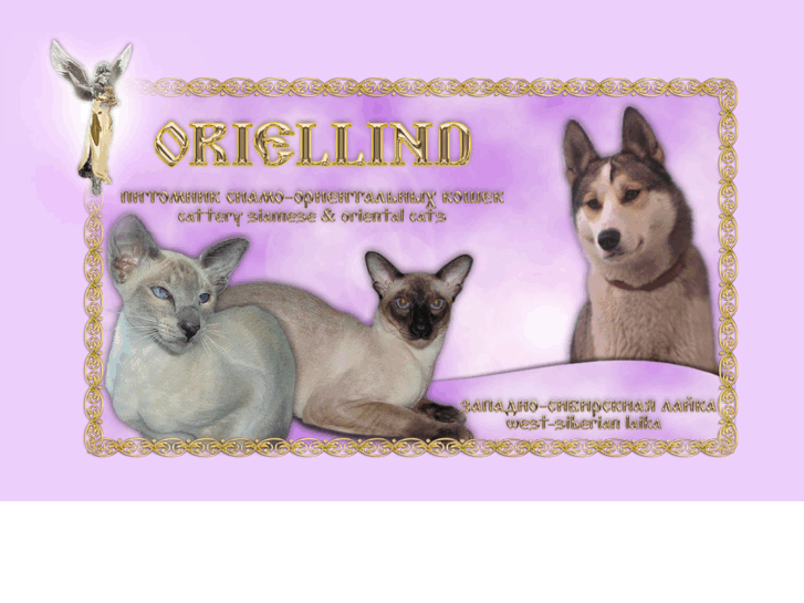 www.oriellind.com