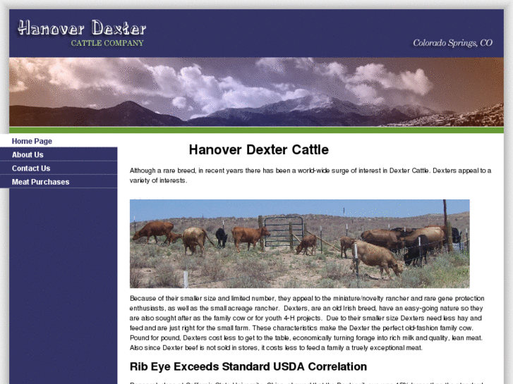 www.bestcoloradobeef.com