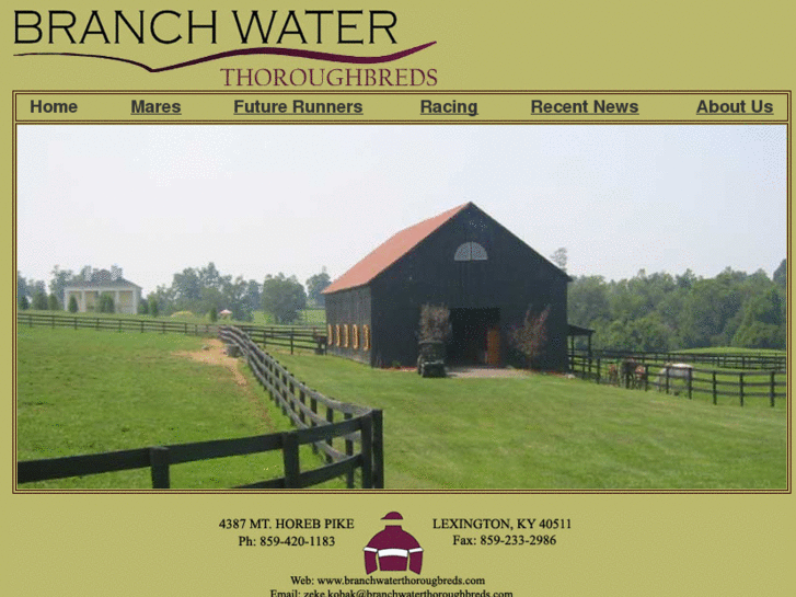 www.branchwaterthoroughbreds.com