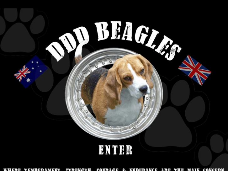 www.dddbeagles.com