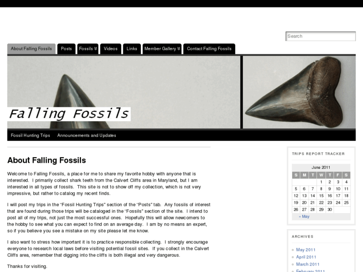 www.fallingfossils.com