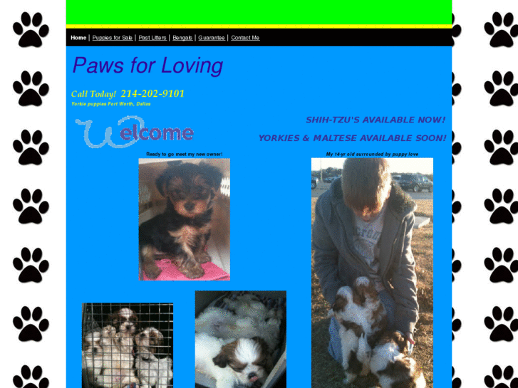 www.pawsforloving.com