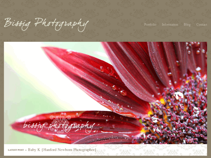 www.bissigphotography.com