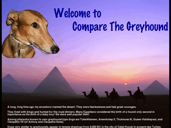 www.comparethegreyhound.com