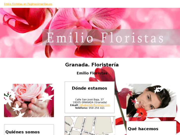 www.emiliofloristas.com