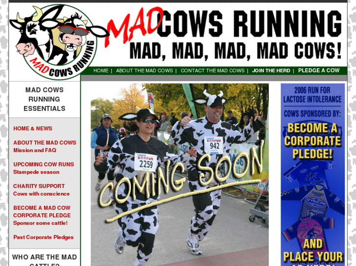 www.madcowsrunning.com