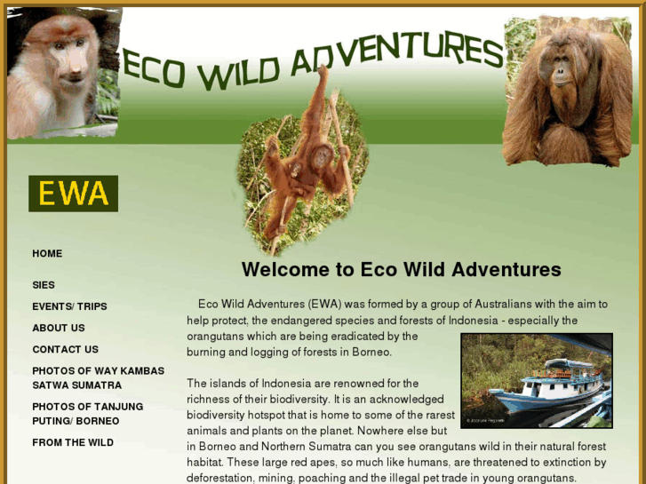 www.ecowildadventures.com