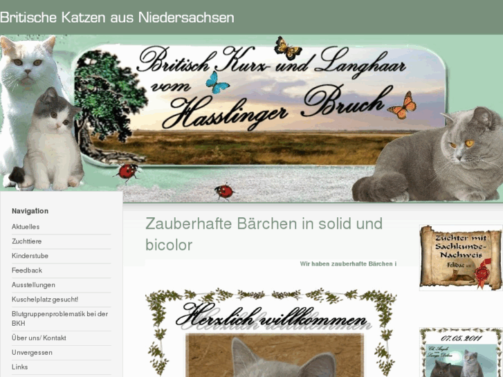 www.edelkatzen-vom-hasslinger-bruch.de