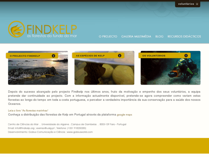 www.findkelp.org