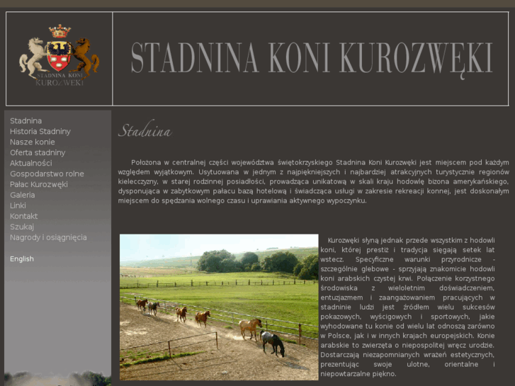 www.stadninakoni.com